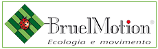 Bruel Motion